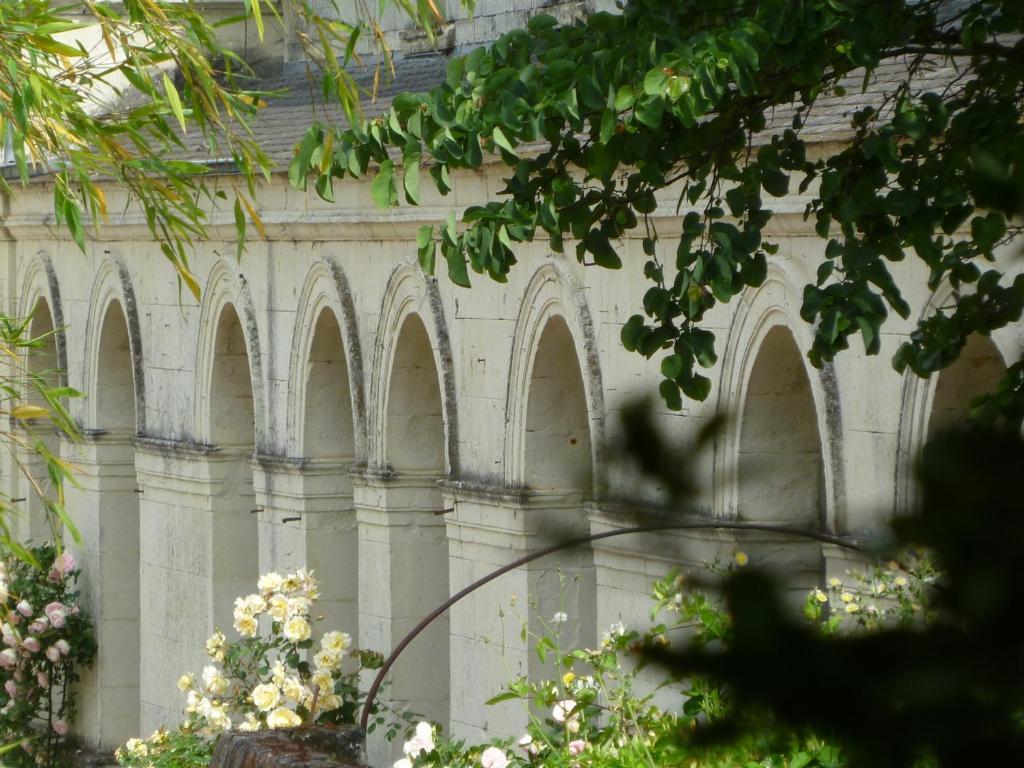 Manoir De Boisairault Bed & Breakfast Le Coudray-Macouard Exterior photo