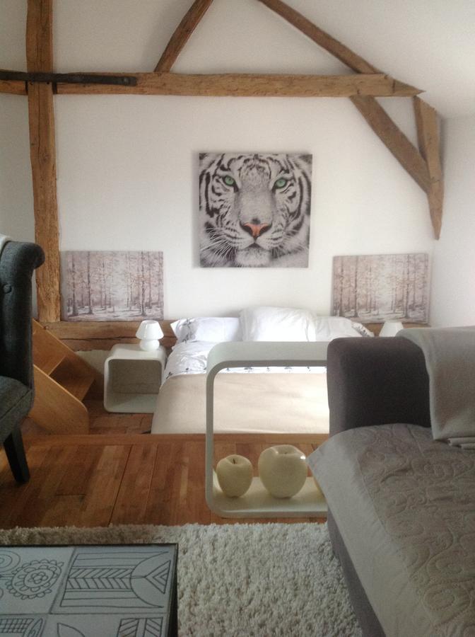 Manoir De Boisairault Bed & Breakfast Le Coudray-Macouard Exterior photo