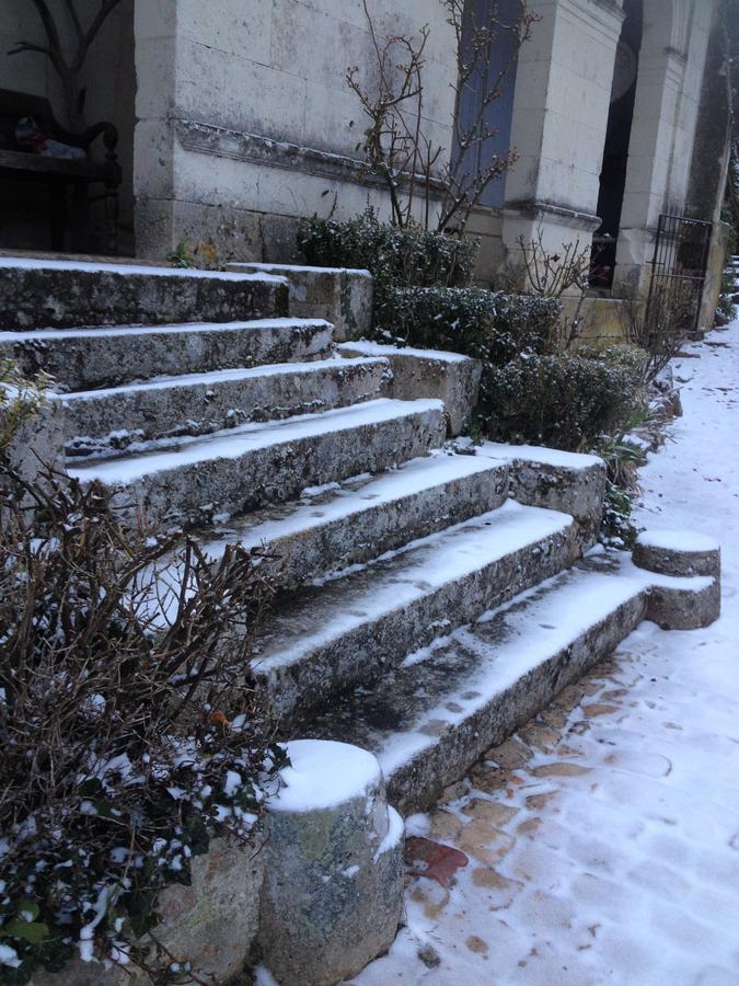 Manoir De Boisairault Bed & Breakfast Le Coudray-Macouard Exterior photo